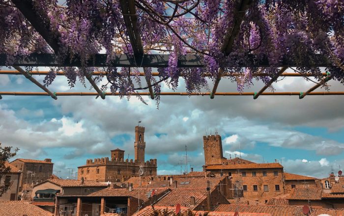 Volterra