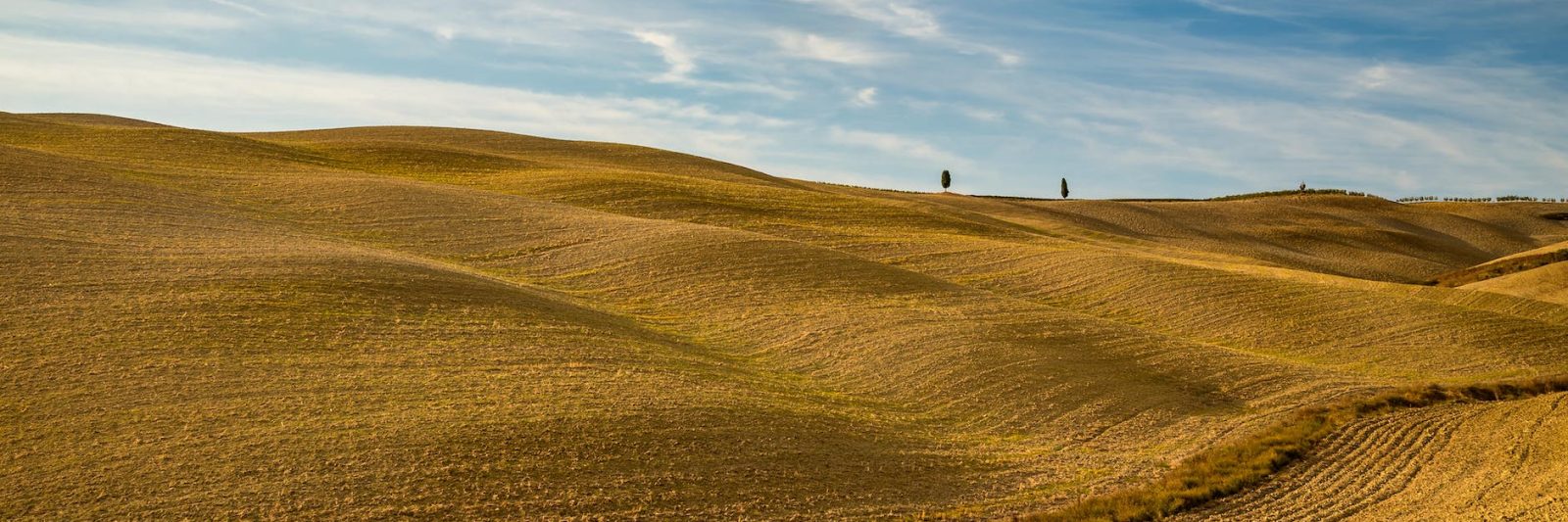 Tuscany brown field under blue sky